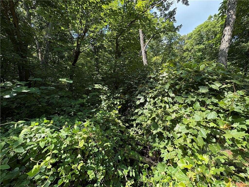 0.77 Acres of Land for Sale in Mound City, Kansas