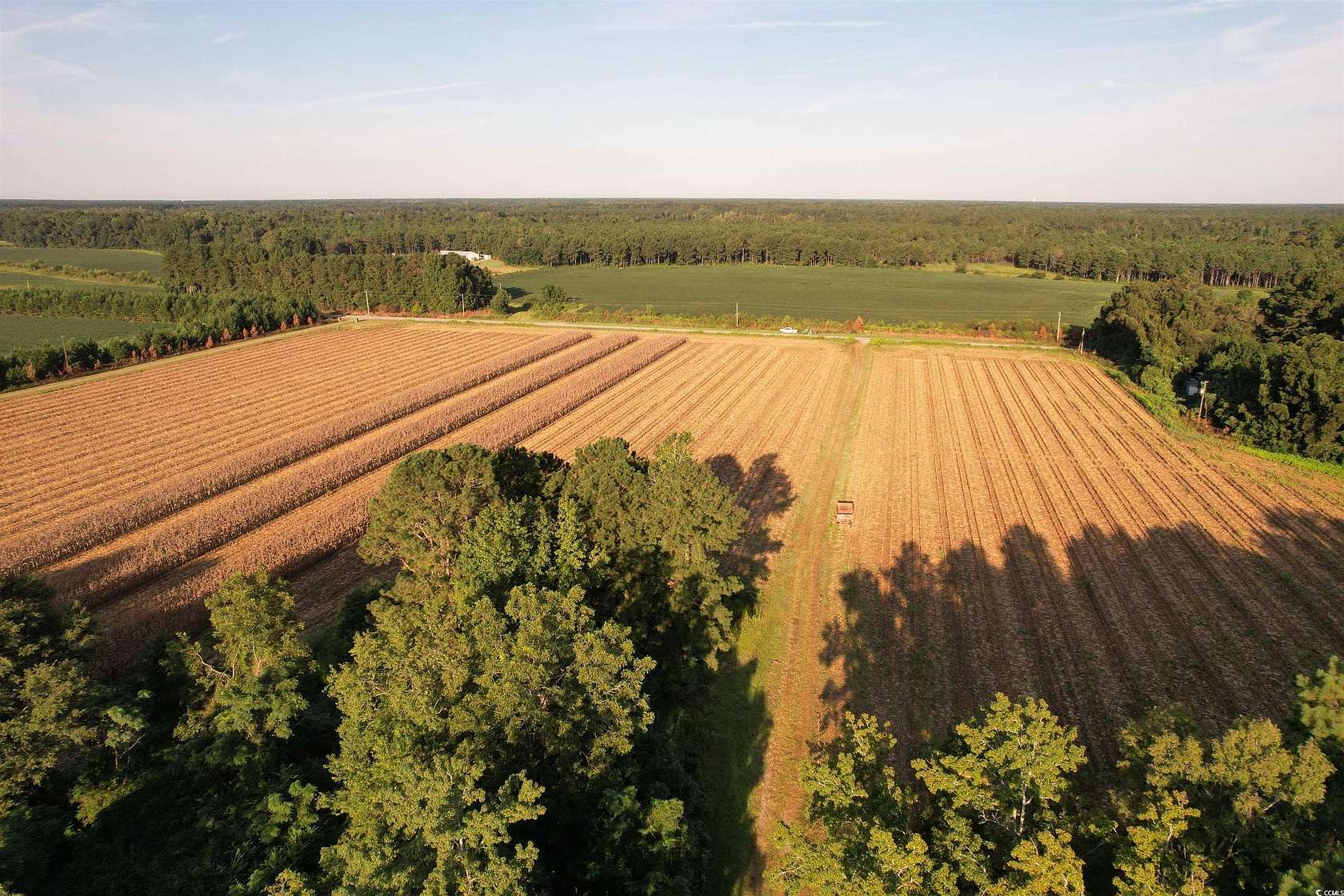 61.8 Acres of Recreational Land & Farm for Sale in Salters, South Carolina