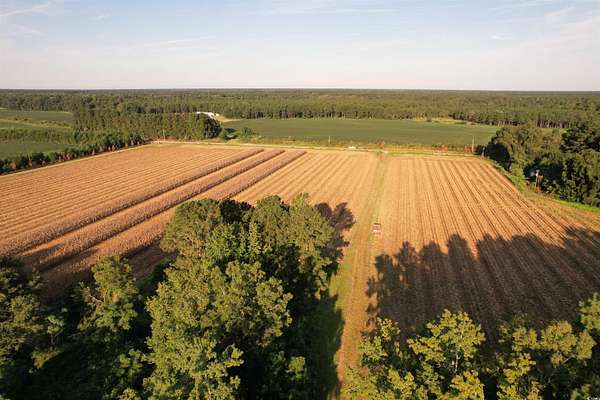 61.8 Acres of Recreational Land & Farm for Sale in Salters, South Carolina