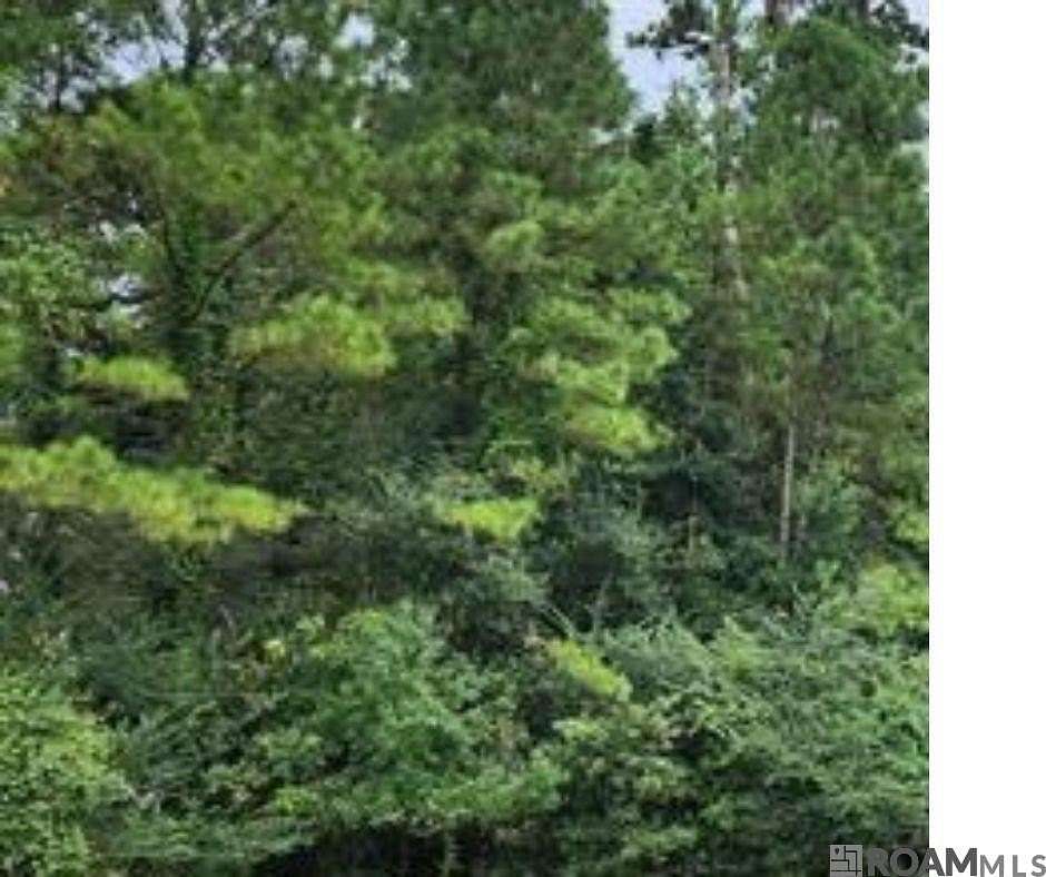 2.54 Acres of Land for Sale in Baton Rouge, Louisiana