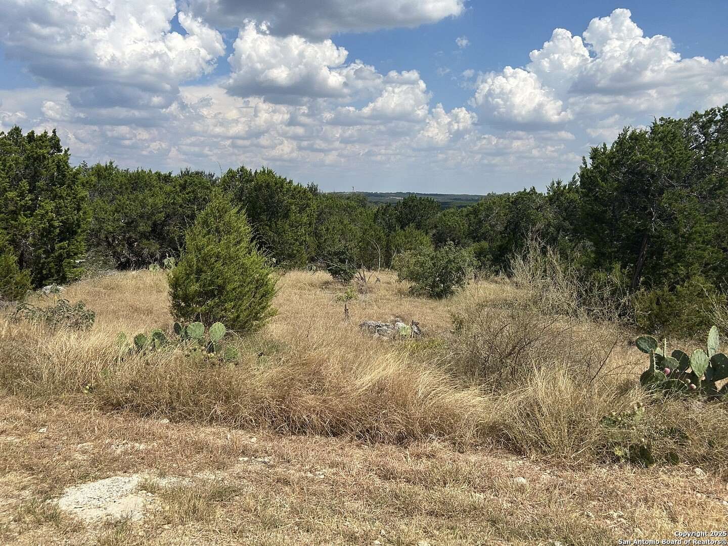1 Acre of Residential Land for Sale in New Braunfels, Texas