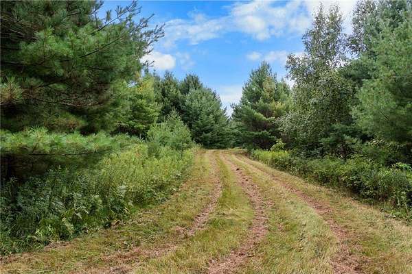 49.3 Acres of Recreational Land for Sale in Brooklyn Town, Wisconsin