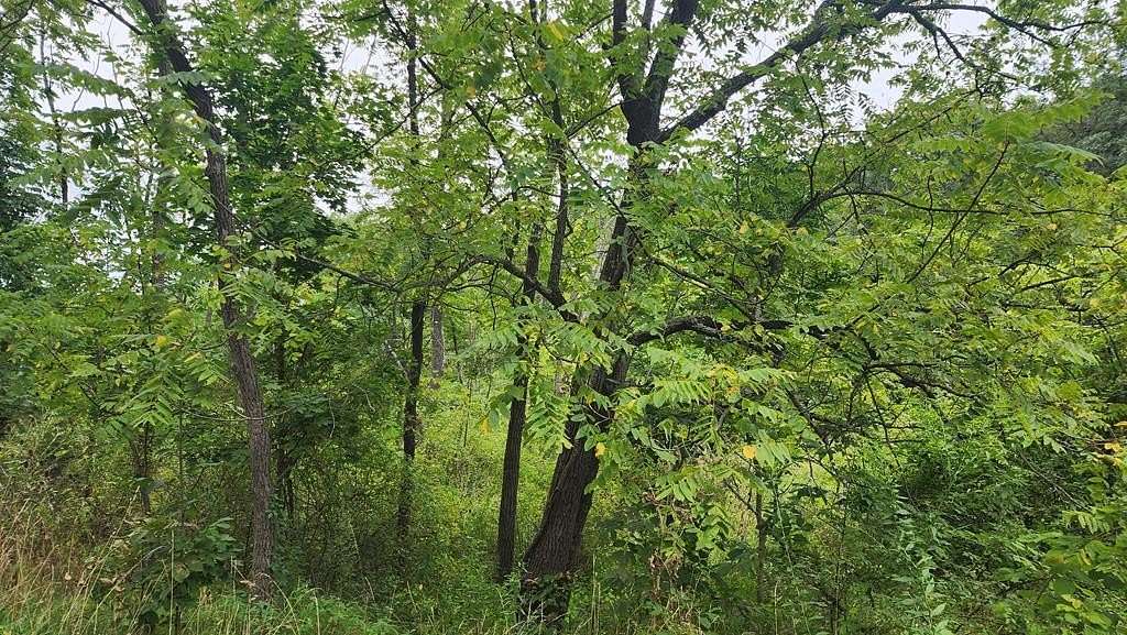 1.17 Acres of Residential Land for Sale in Cassville, Pennsylvania