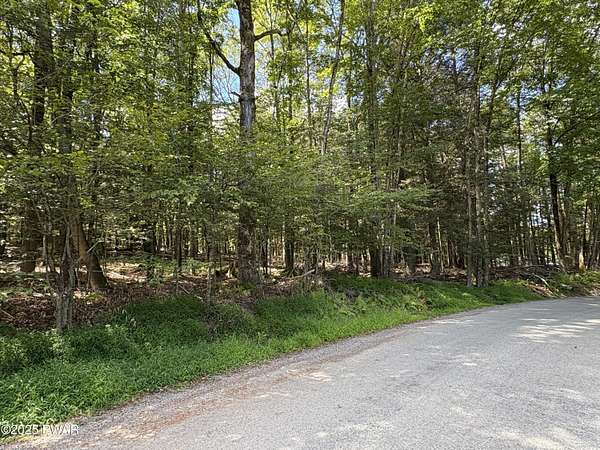 0.26 Acres of Residential Land for Sale in Greentown, Pennsylvania