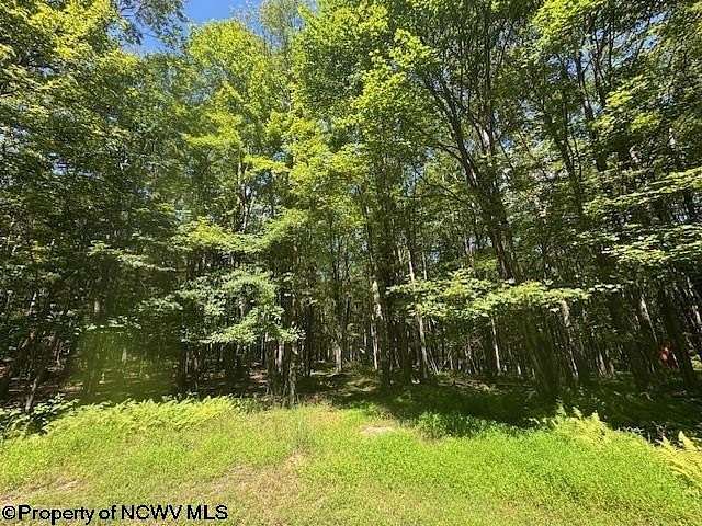 16 Acres of Land for Sale in Bruceton Mills, West Virginia