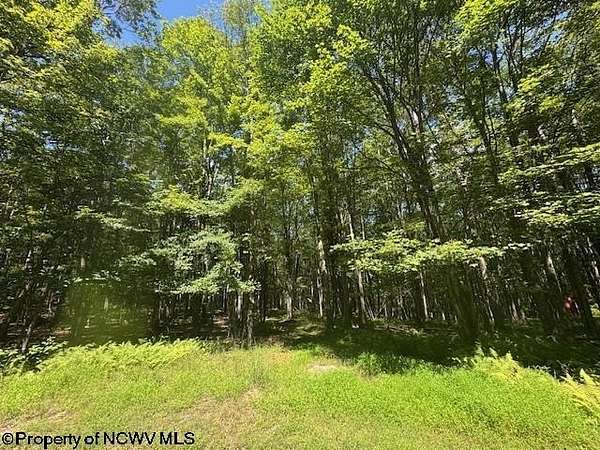 16 Acres of Land for Sale in Bruceton Mills, West Virginia