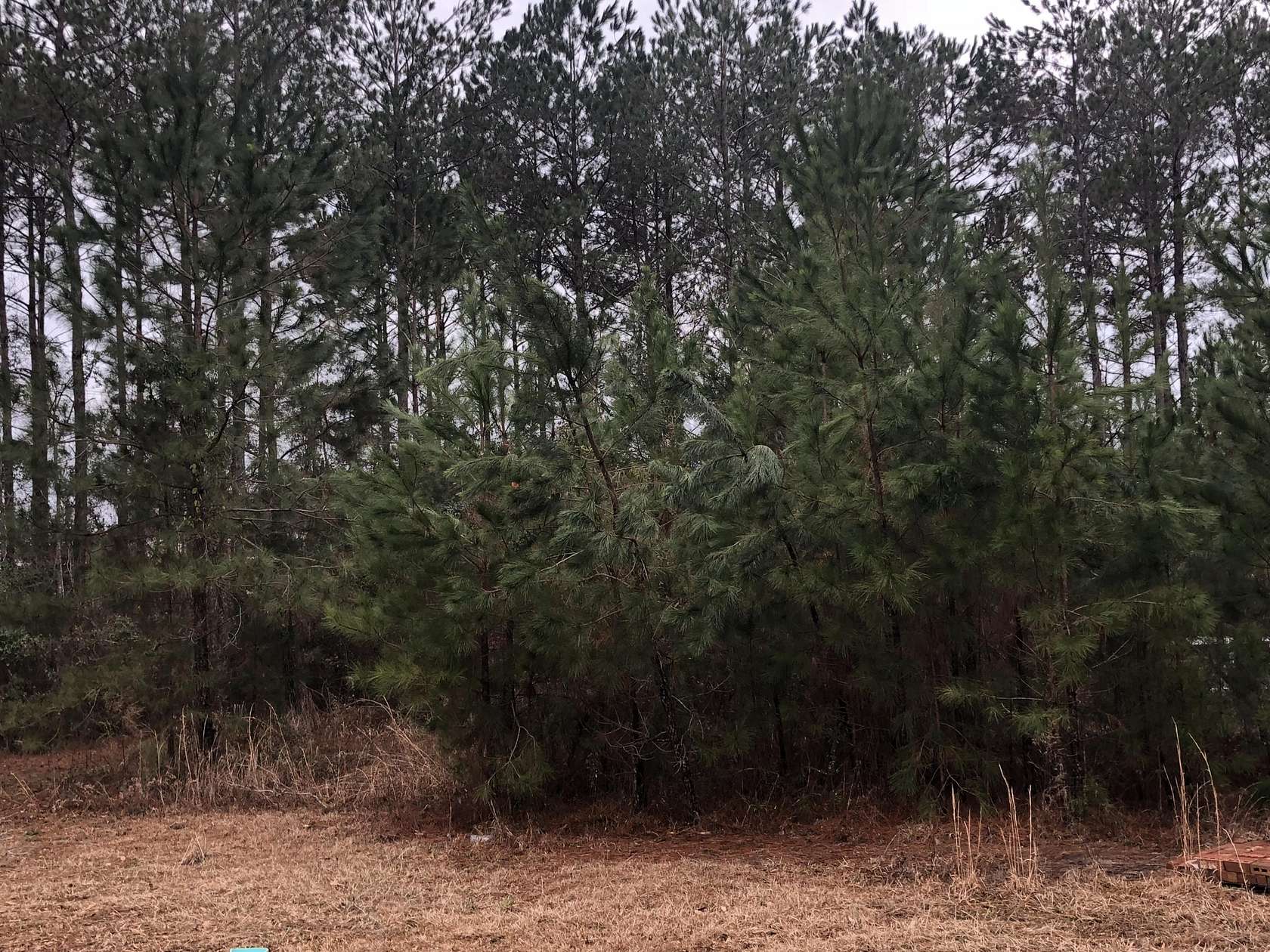 0.19 Acres of Residential Land for Sale in Hattiesburg, Mississippi