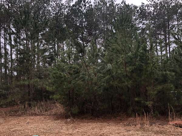0.19 Acres of Residential Land for Sale in Hattiesburg, Mississippi