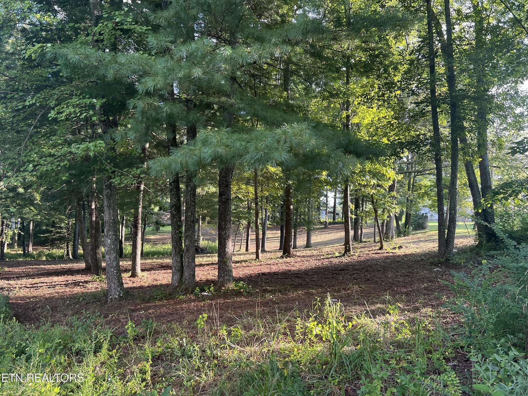 0.93 Acres of Residential Land for Sale in Crossville, Tennessee