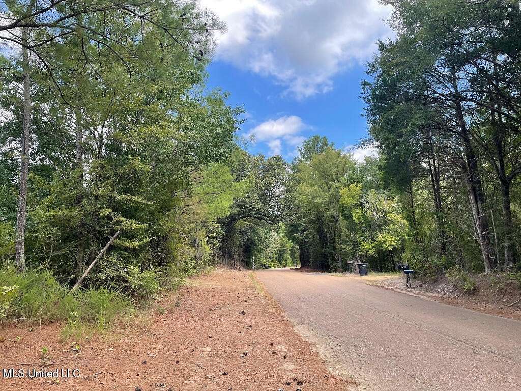 22.4 Acres of Recreational Land for Sale in Sarah, Mississippi