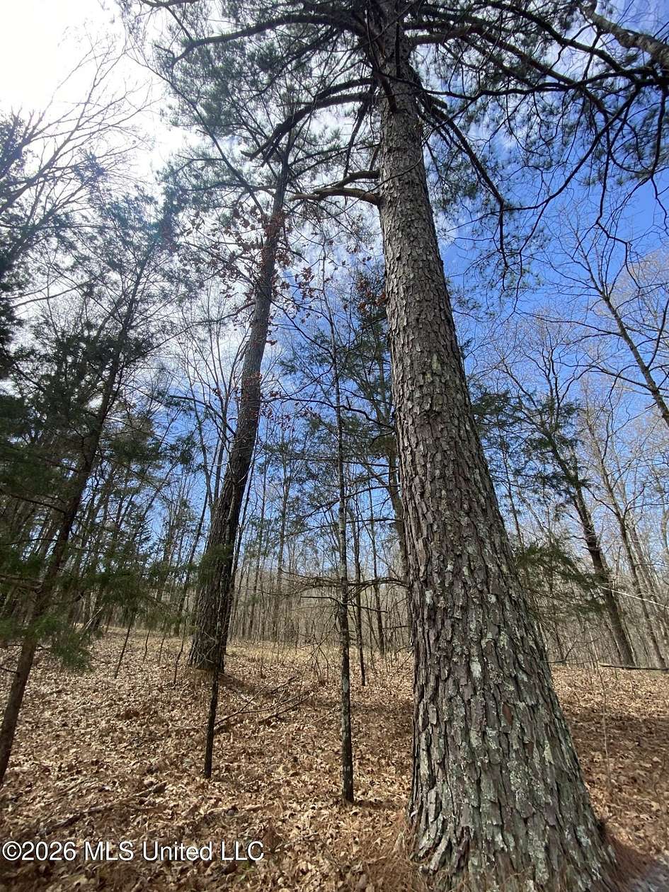 12 Acres of Land for Sale in Byhalia, Mississippi