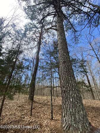 12 Acres of Land for Sale in Byhalia, Mississippi