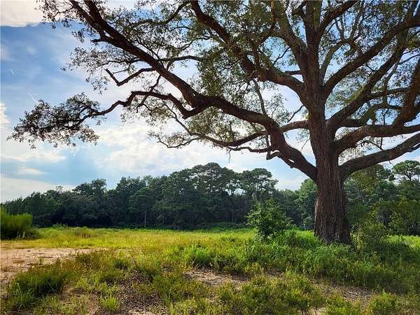 27.9 Acres of Land for Sale in Grand Bay, Alabama