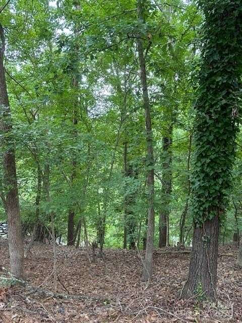0.25 Acres of Residential Land for Sale in Tega Cay, South Carolina