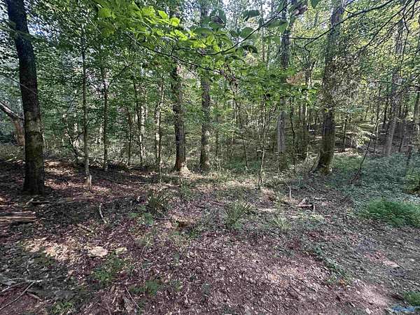 6 Acres of Land for Sale in Guntersville, Alabama