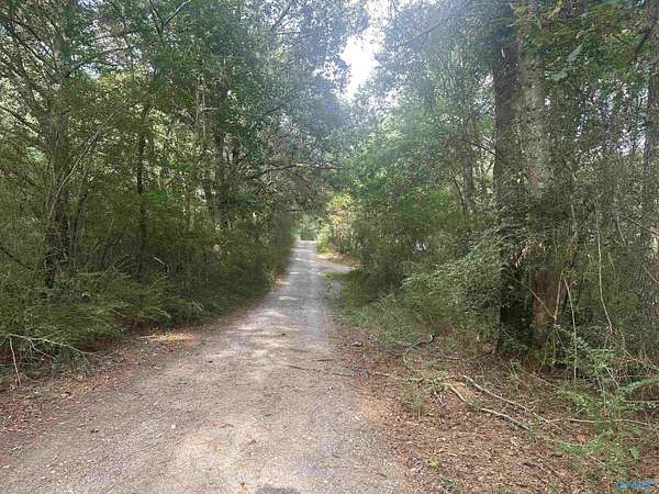 6 Acres of Land for Sale in Guntersville, Alabama