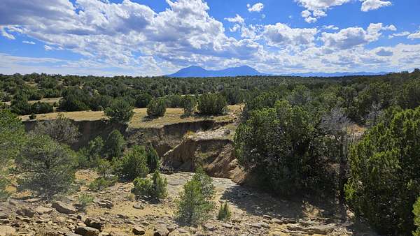 2 Acres of Land for Sale in Walsenburg, Colorado