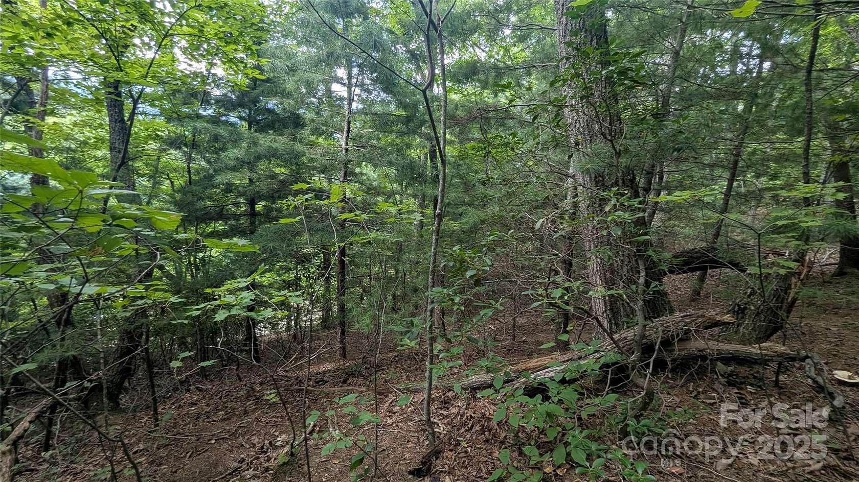 0.35 Acres of Residential Land for Sale in Waynesville, North Carolina