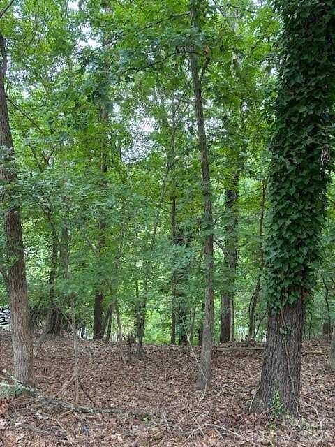 0.22 Acres of Residential Land for Sale in Tega Cay, South Carolina