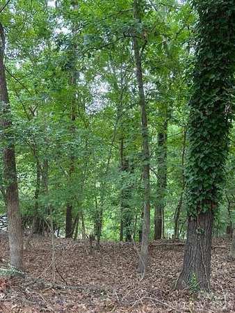 0.22 Acres of Residential Land for Sale in Tega Cay, South Carolina