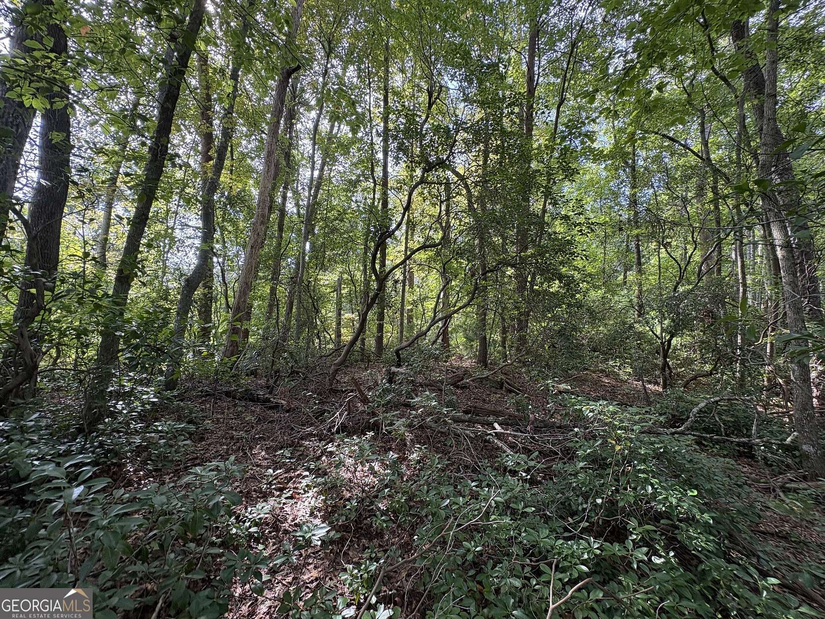 0.6 Acres of Residential Land for Sale in Clayton, Georgia