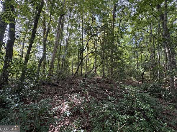 0.6 Acres of Residential Land for Sale in Clayton, Georgia