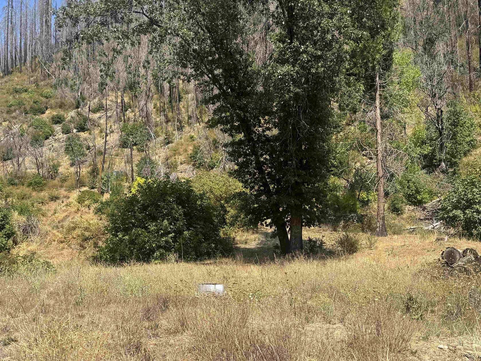 0.3 Acres of Residential Land for Sale in Happy Camp, California