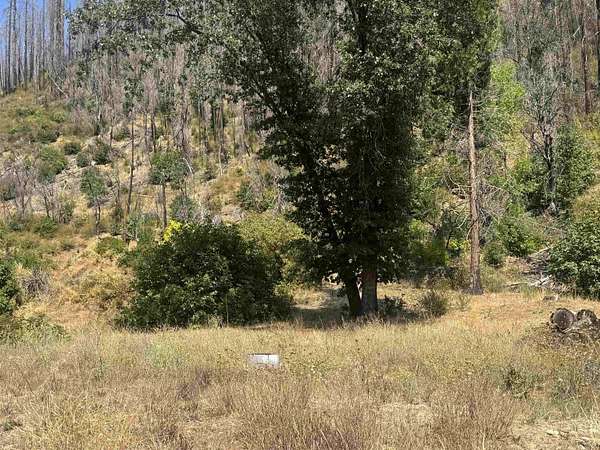 0.3 Acres of Residential Land for Sale in Happy Camp, California
