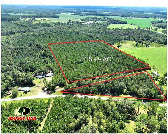 54.5 Acres of Recreational Land for Sale in Bristol, Georgia