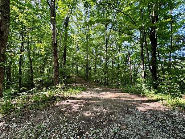 12.4 Acres of Recreational Land for Sale in Bluefield, Virginia
