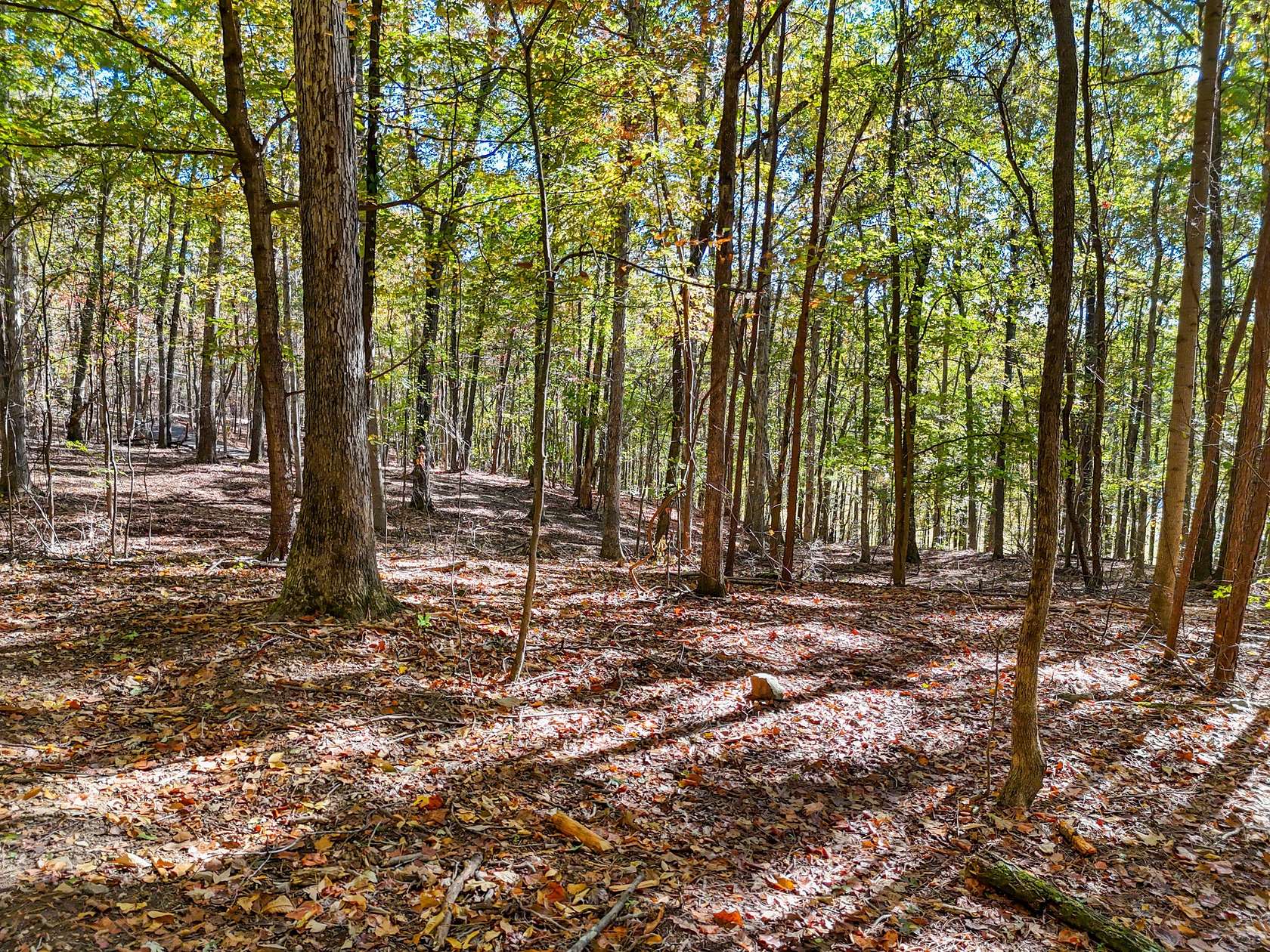 5 Acres of Residential Land for Sale in McDonald, Tennessee