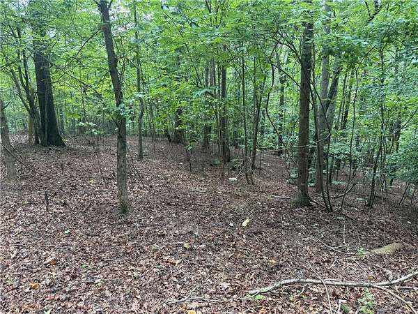 4.28 Acres of Residential Land for Sale in Canton, Georgia