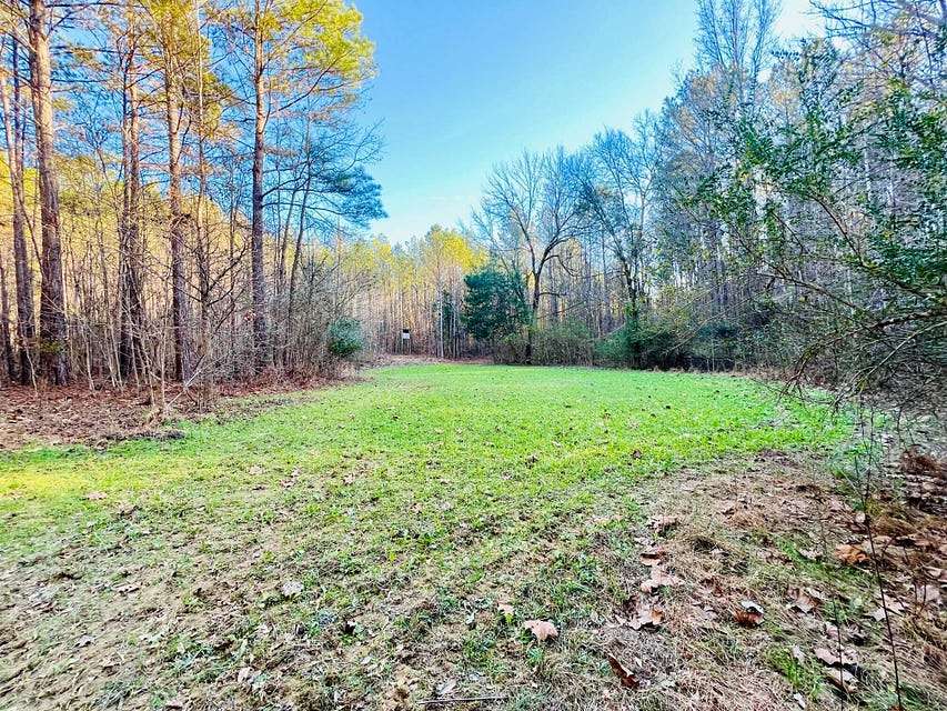 103 Acres of Land for Sale in Baldwyn, Mississippi