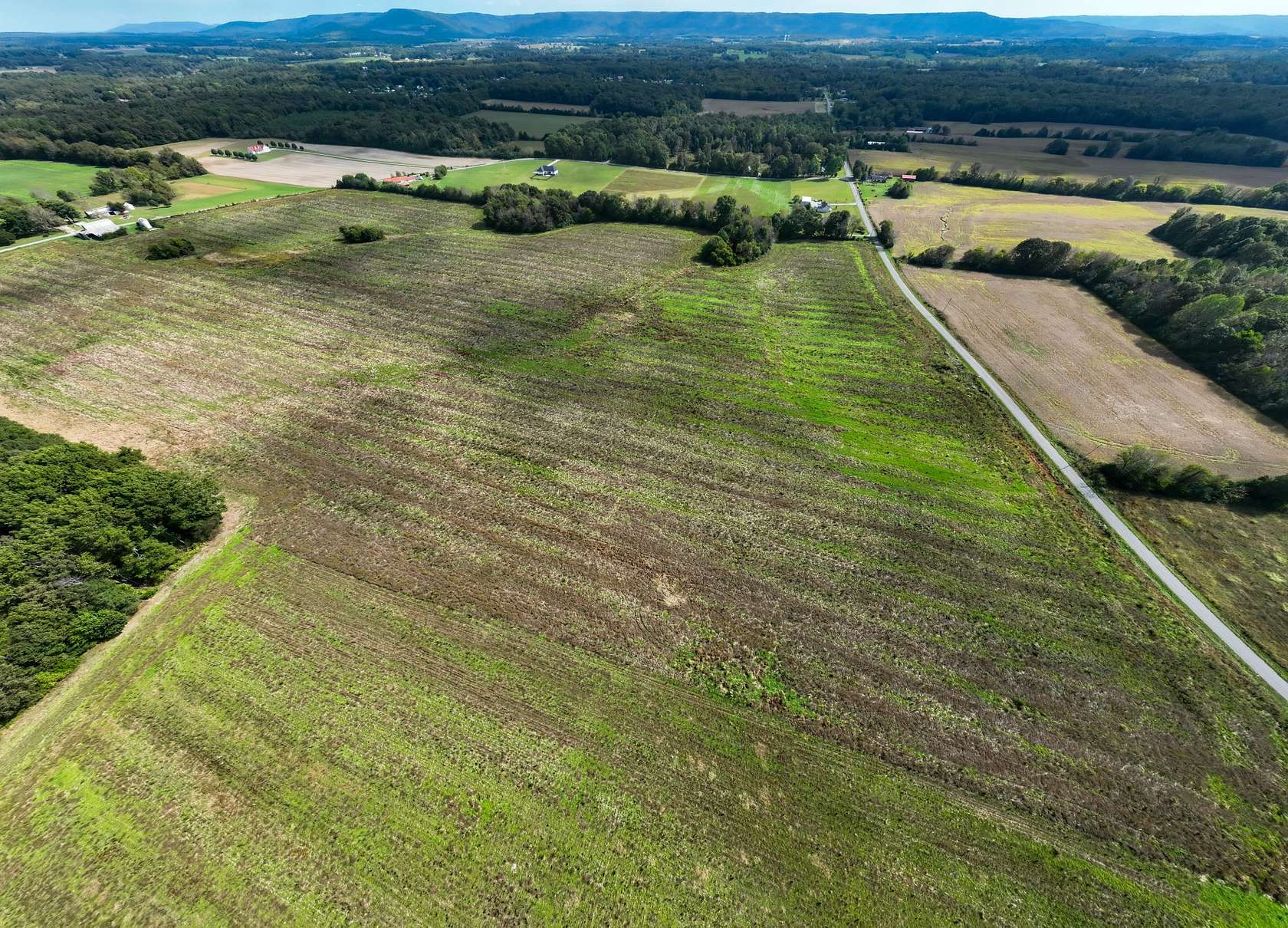 5 Acres of Land for Sale in Hillsboro, Tennessee