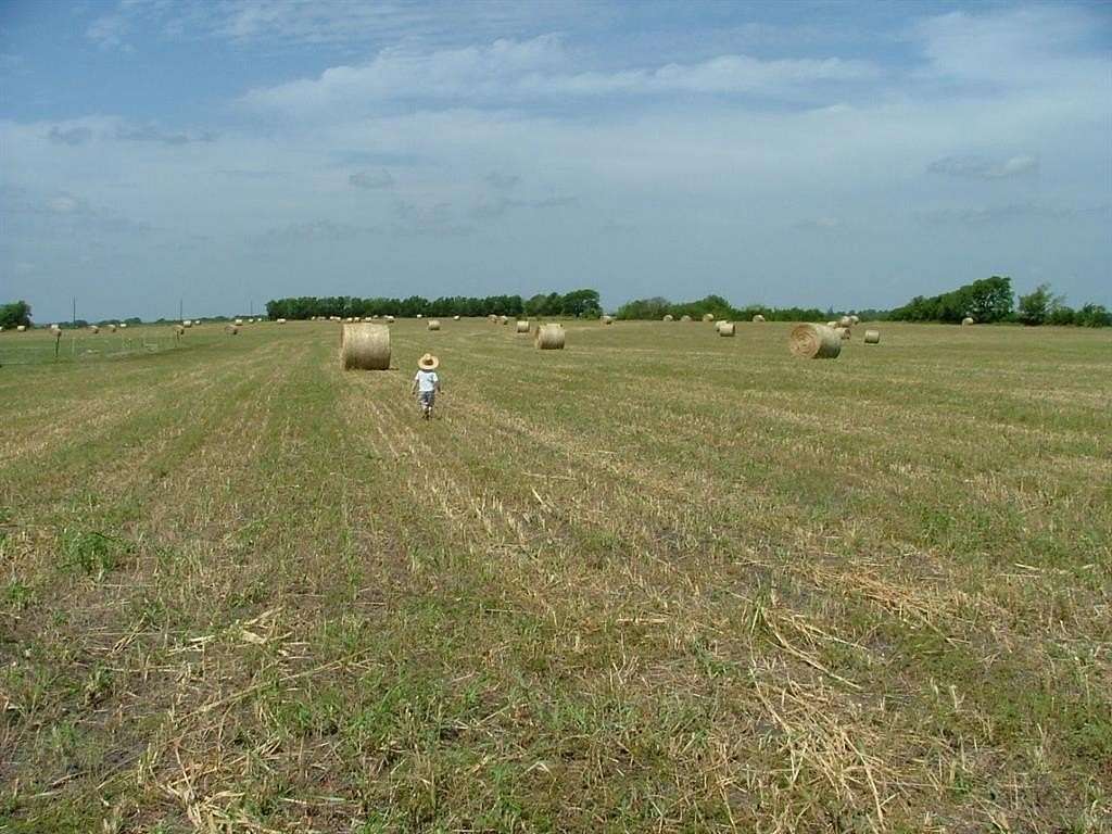 10 Acres of Land for Sale in Nevada, Texas