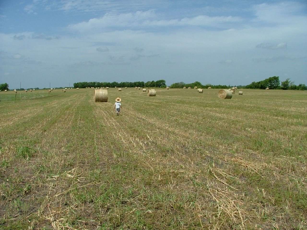 10 Acres of Land for Sale in Nevada, Texas