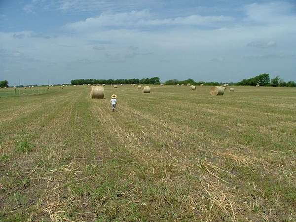 10 Acres of Land for Sale in Nevada, Texas