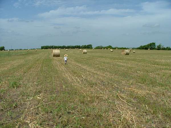 10 Acres of Land for Sale in Nevada, Texas