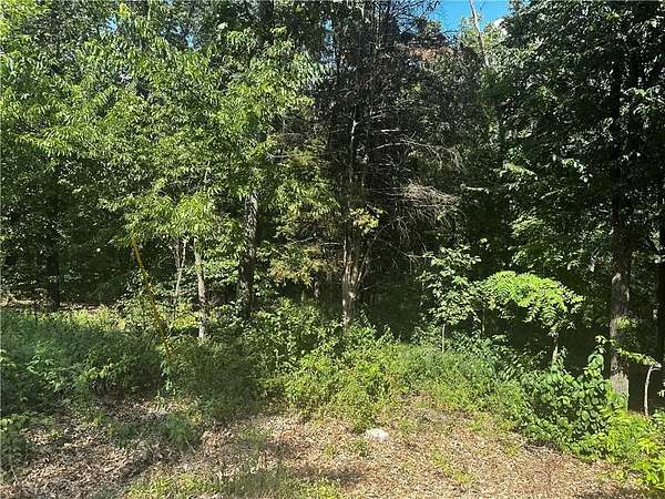 0.35 Acres of Residential Land for Sale in Bella Vista, Arkansas