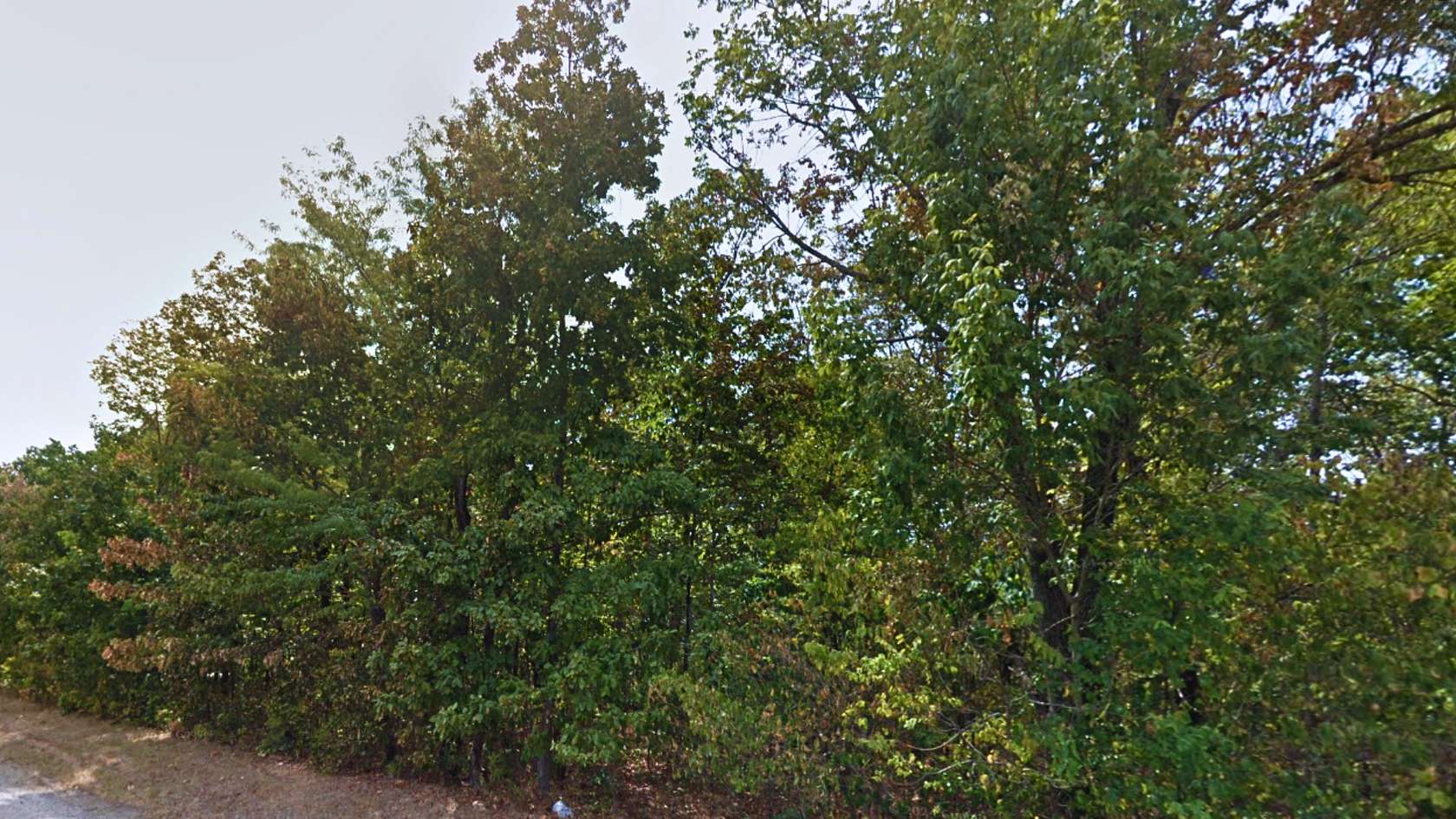 0.27 Acres of Residential Land for Sale in Village of Four Seasons, Missouri