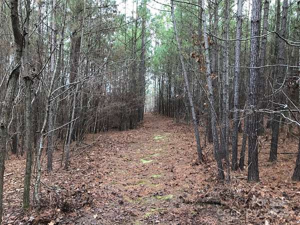 1.22 Acres of Residential Land for Sale in Lilesville, North Carolina