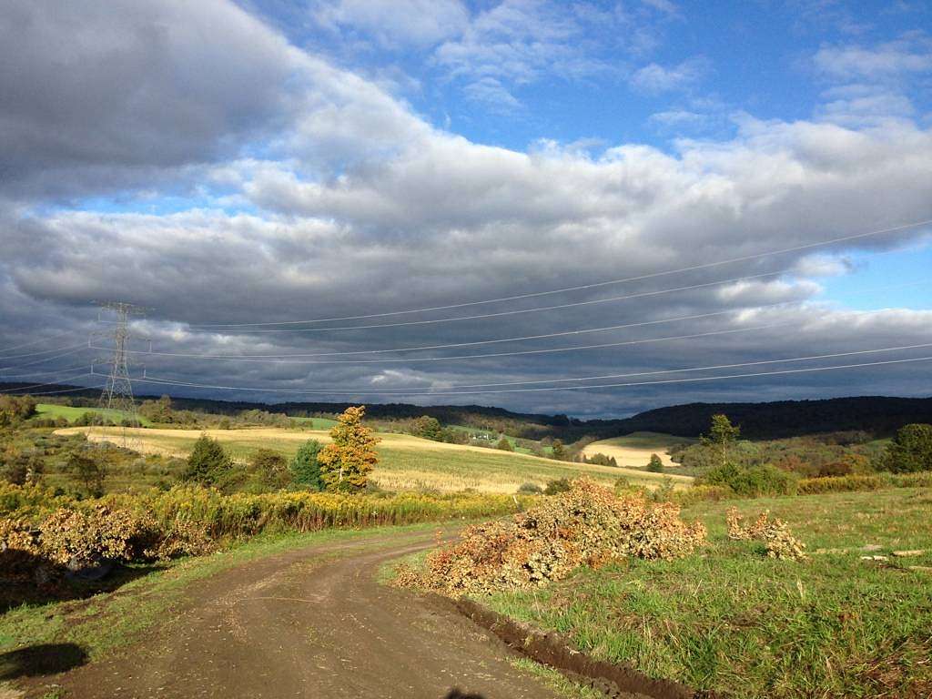 310 Acres of Agricultural Land with Home for Sale in Burlington Flats, New York