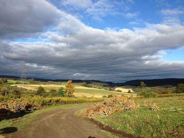 310 Acres of Agricultural Land with Home for Sale in Burlington Flats, New York