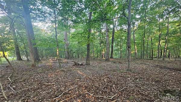 1 Acre of Residential Land for Sale in Charrette Township, Missouri