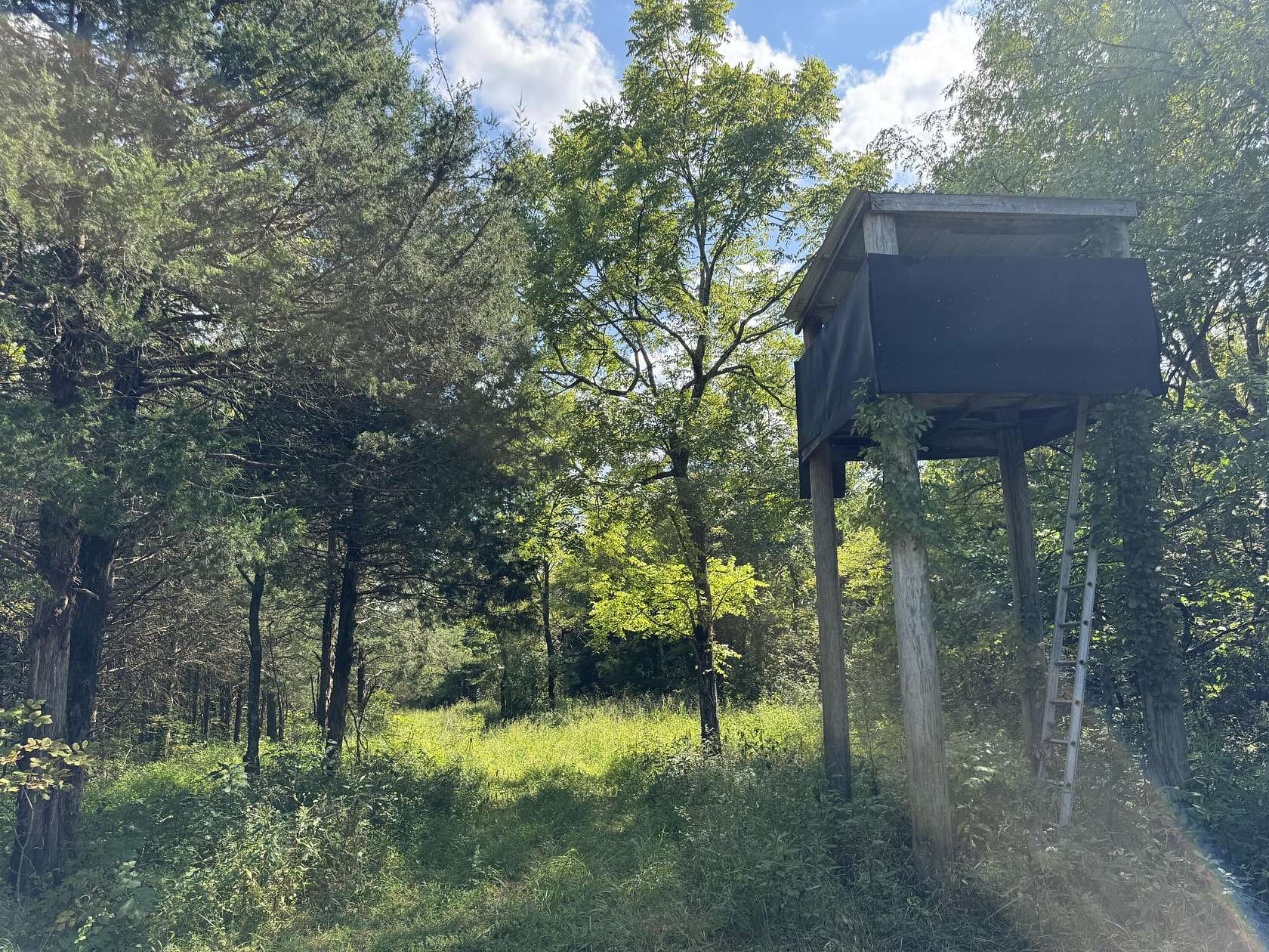 Residential Land for Sale in Corinth, Kentucky