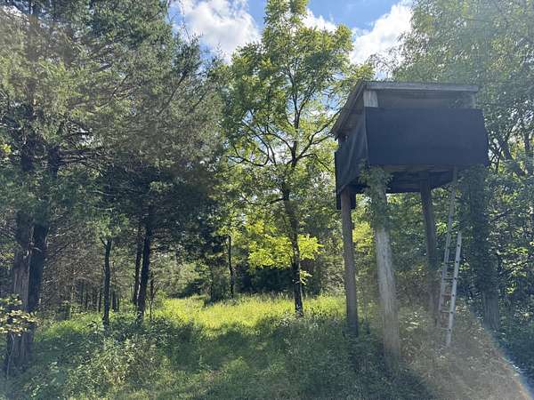 Residential Land for Sale in Corinth, Kentucky