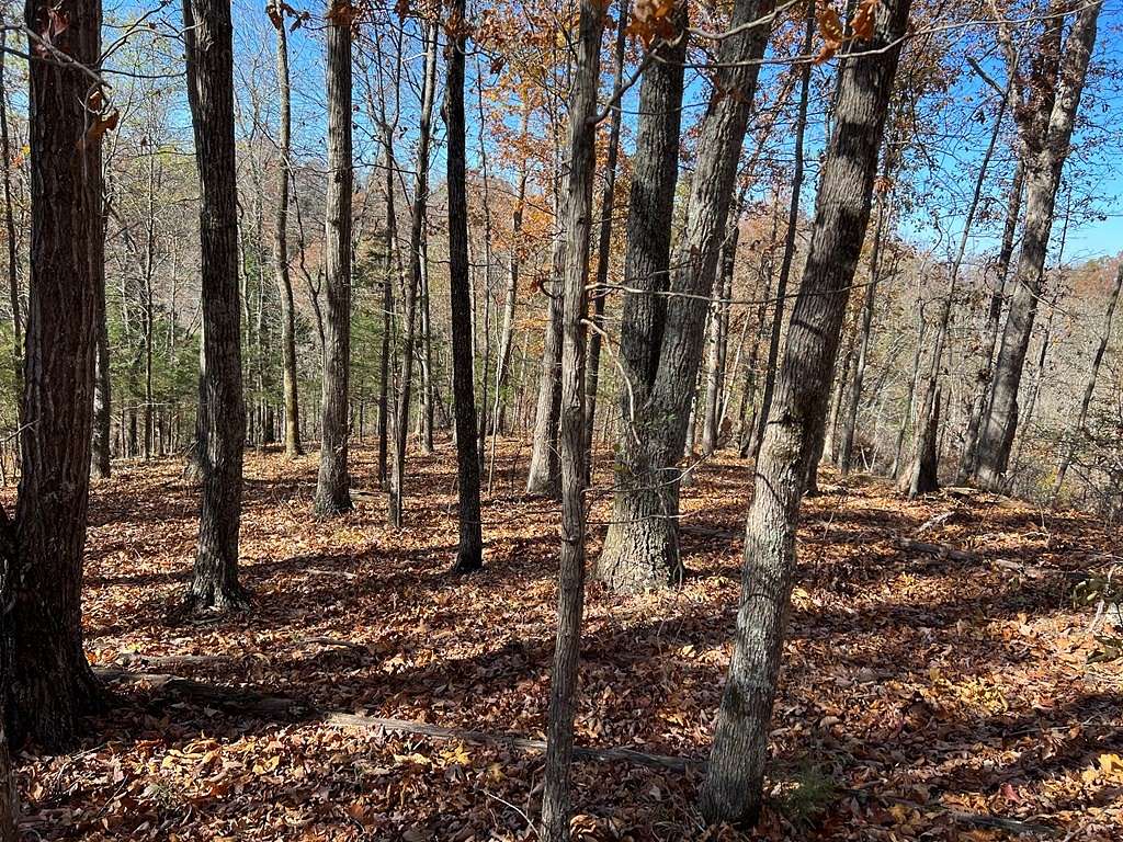 2.19 Acres of Land for Sale in Celina, Tennessee