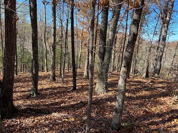 2.19 Acres of Land for Sale in Celina, Tennessee