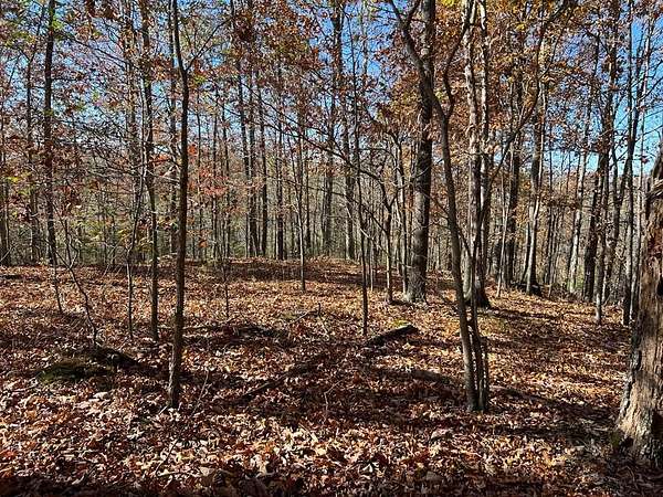 2.19 Acres of Land for Sale in Celina, Tennessee
