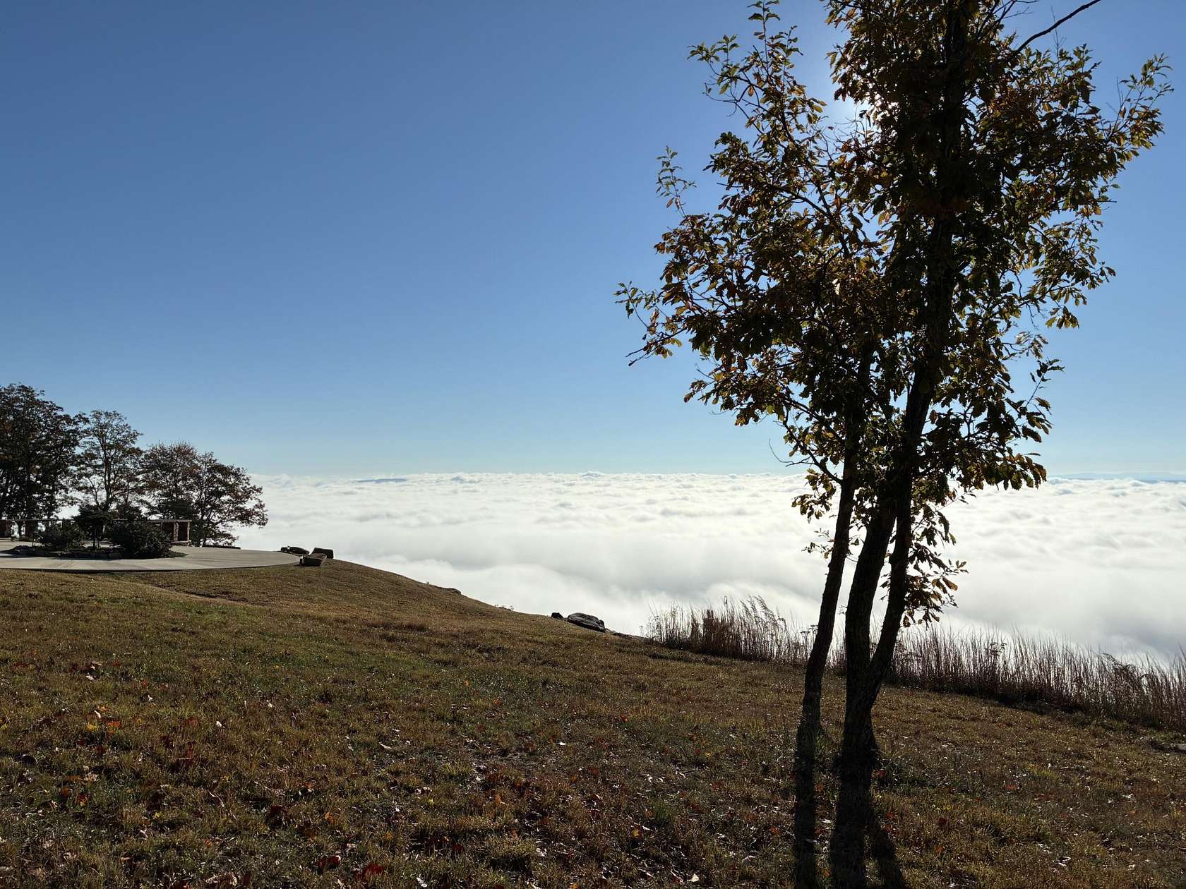 2 Acres of Residential Land for Sale in Jasper, Tennessee